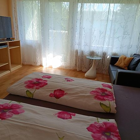 Offenburg Apartment Eksteriør bilde