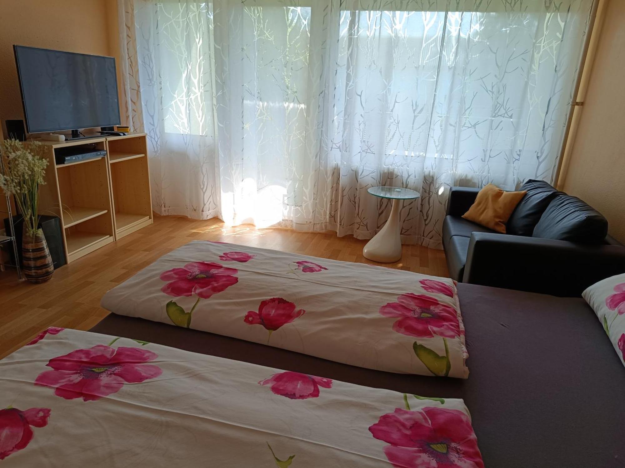Offenburg Apartment Eksteriør bilde