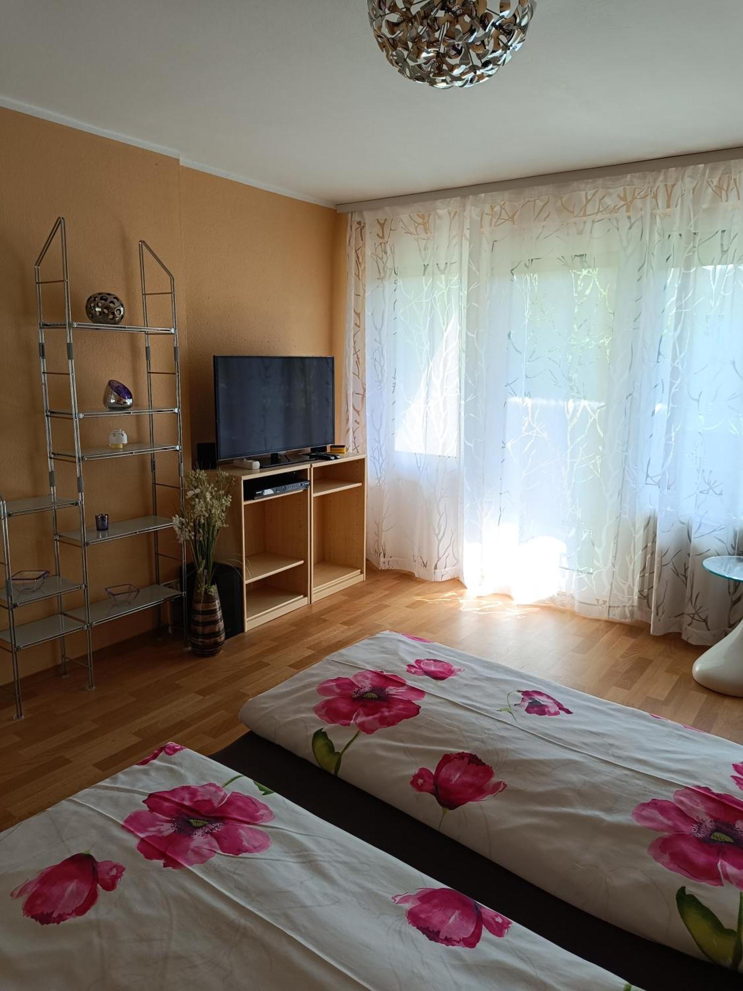 Offenburg Apartment Eksteriør bilde